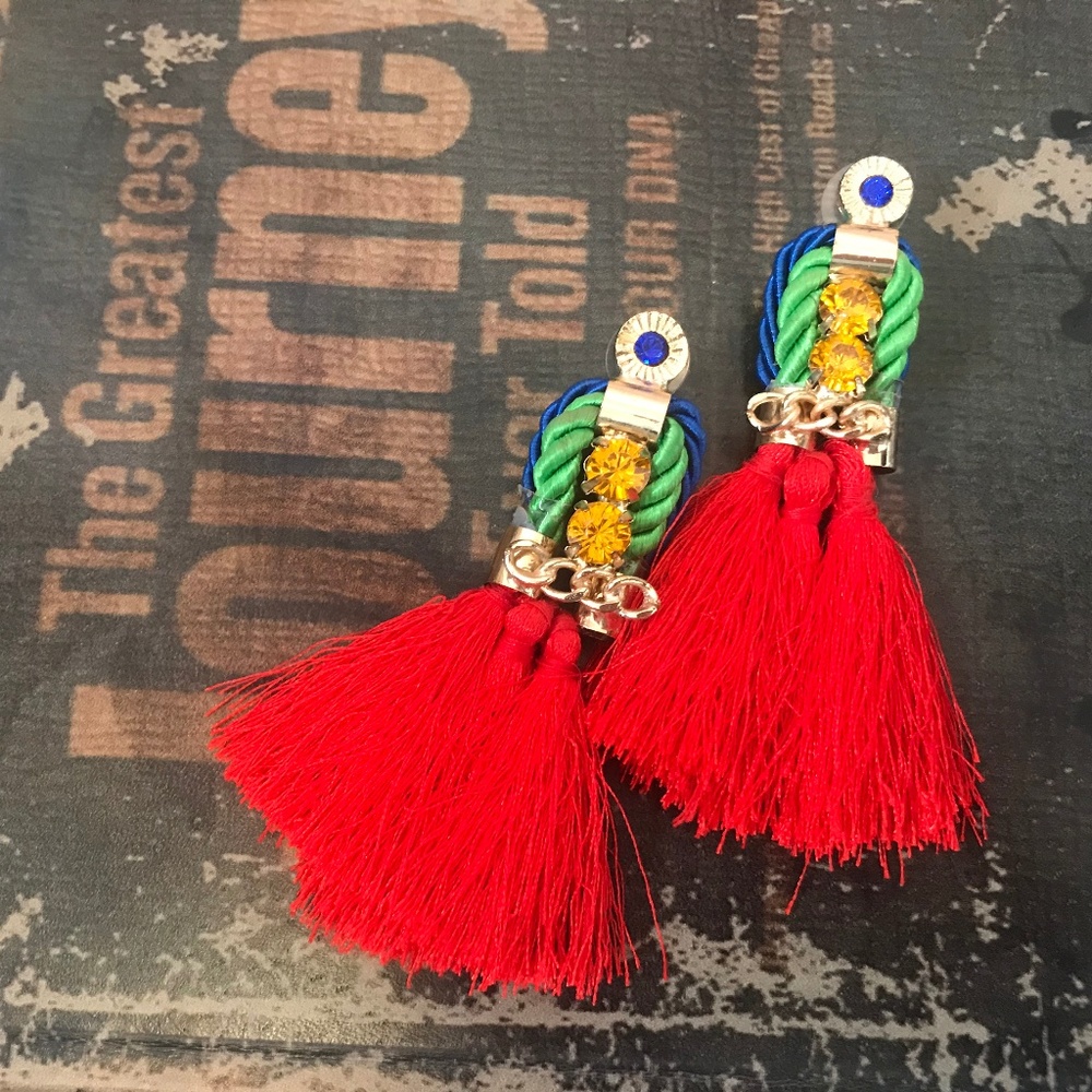 Earrings